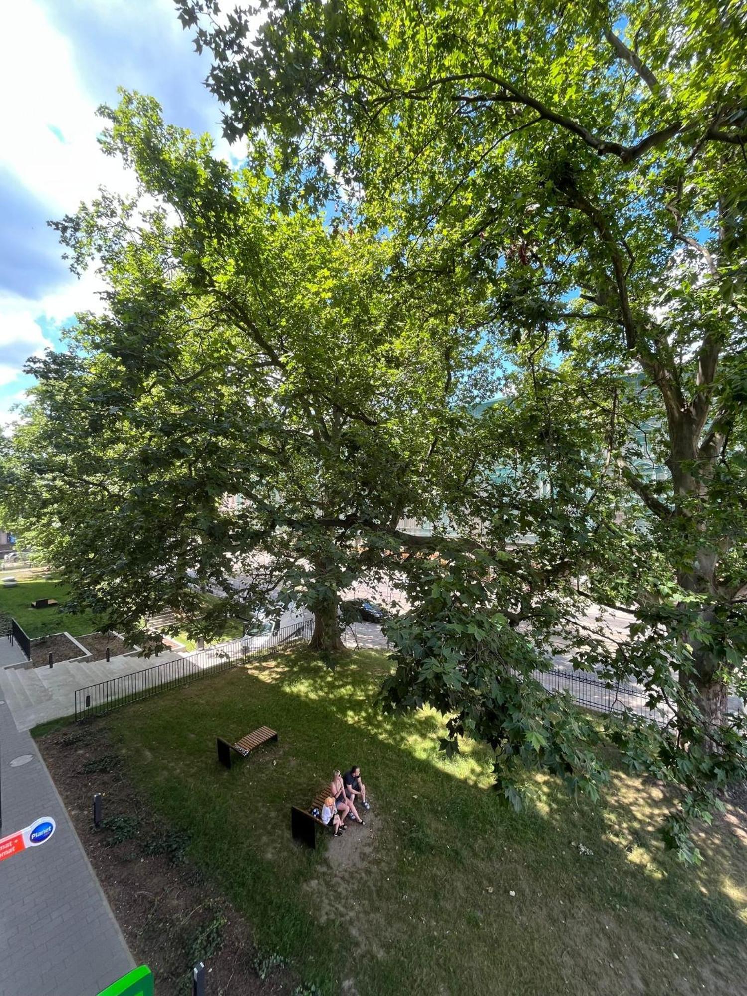 Komfort Z Balkonem W Centrum Вроцлав Екстер'єр фото